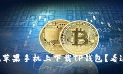 想在苹果手机上下载TP钱包
