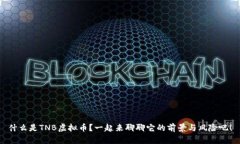 什么是TNB虚拟币？一起来