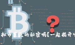 想知道虚拟币蒸汽的秘密
