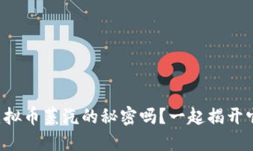 想知道虚拟币蒸汽的秘密吗？一起揭开它的面纱！