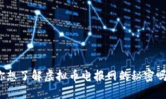 你想了解虚拟币电报网的