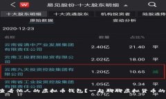 怎么查看他人的虚拟币钱