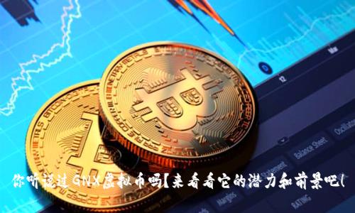 你听说过GNX虚拟币吗？来看看它的潜力和前景吧！