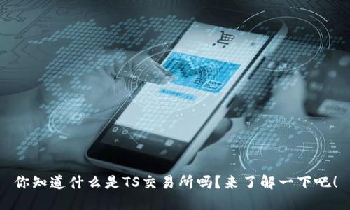 你知道什么是TS交易所吗？来了解一下吧！