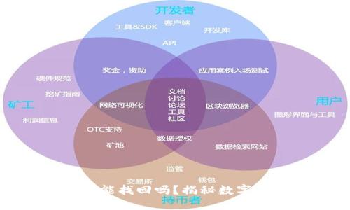 TP钱包币被转走还能找回吗？揭秘数字货币的安全与挽回