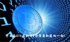 什么是SJB虚拟币？你需要
