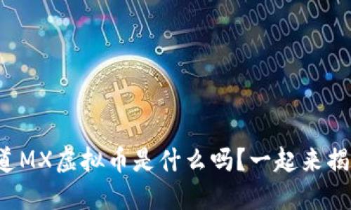 你知道MX虚拟币是什么吗？一起来揭秘吧！