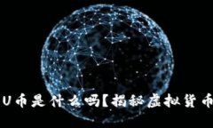 你知道 U币是什么吗？揭秘