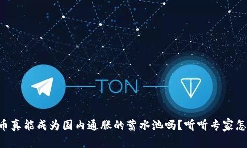 虚拟币真能成为国内通胀的蓄水池吗？听听专家怎么说！