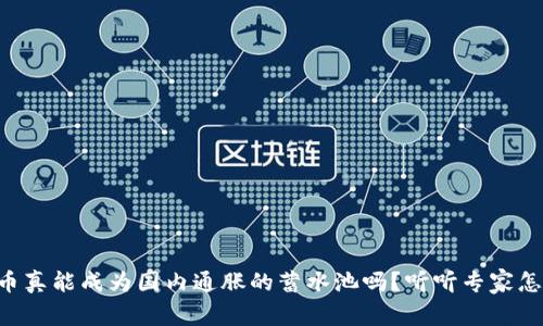 虚拟币真能成为国内通胀的蓄水池吗？听听专家怎么说！