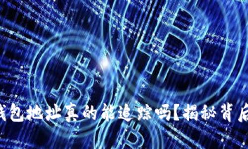 虚拟币钱包地址真的能追踪吗？揭秘背后的真相！
