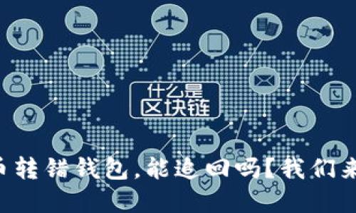 虚拟币转错钱包，能追回吗？我们来聊聊！