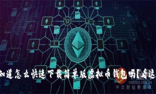 想知道怎么快速下载简单版虚拟币钱包吗？看这里！