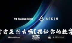 你知道TP钱包官方是什么吗