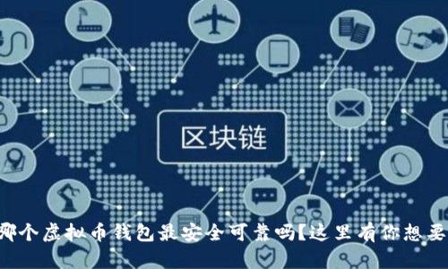 想知道哪个虚拟币钱包最安全可靠吗？这里有你想要的一切！