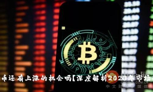 虚拟币还有上涨的机会吗？深度解析2023年市场动态！