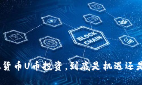 : 虚拟货币U币投资，到底是机遇还是骗局？