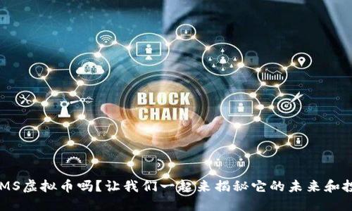 你知道KMS虚拟币吗？让我们一起来揭秘它的未来和投资潜力！