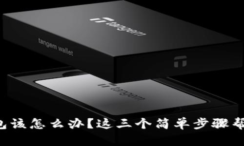 被盗的TP钱包该怎么办？这三个简单步骤帮你快速应对！