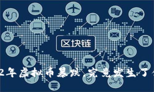 2022年虚拟币暴跌，究竟发生了什么？