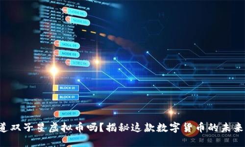 你知道双子星虚拟币吗？揭秘这款数字货币的未来潜力！
