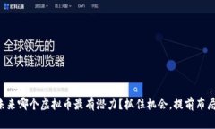 未来哪个虚拟币最有潜力