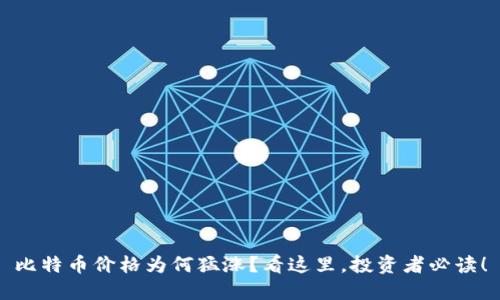 比特币价格为何猛涨？看这里，投资者必读！