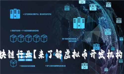 想进军区块链行业？来了解虚拟币开发机构的那些事！