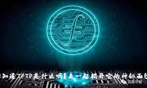 你知道TPTP是什么吗？来一起揭开它的神秘面纱！