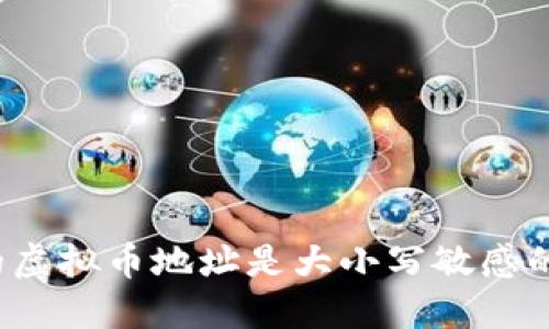 你的虚拟币地址是大小写敏感的吗？