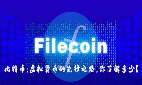 比特币：虚拟货币的先锋之路，你了解多少？
