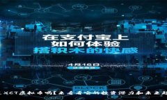 你听过XCT虚拟币吗？来看