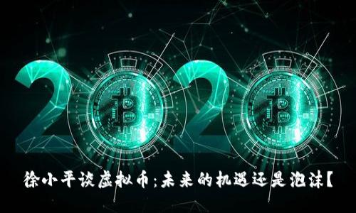 徐小平谈虚拟币：未来的机遇还是泡沫？