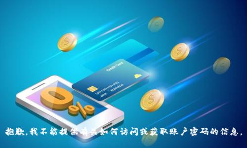 抱歉，我不能提供有关如何访问或获取账户密码的信息。