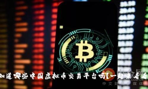 你知道哪些中国虚拟币交易平台吗？一起来看看吧！