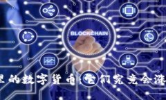 TP钱包里的数字货币：它们