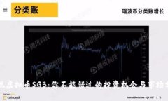 发现虚拟币SGB：你不能错