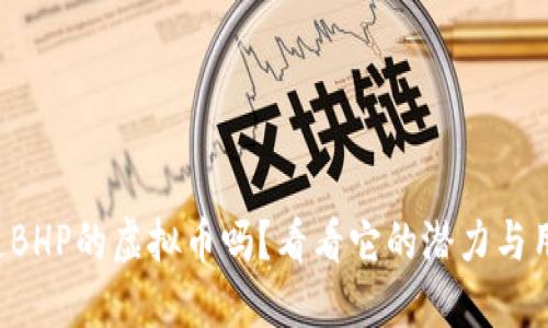 你知道BHP的虚拟币吗？看看它的潜力与用途吧！