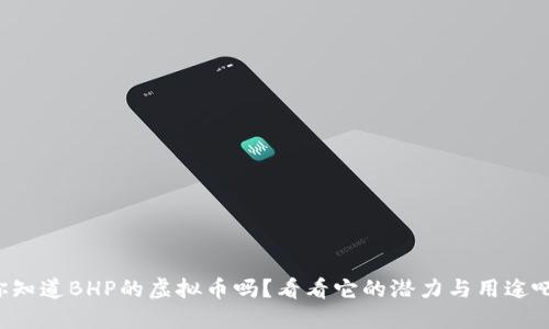 你知道BHP的虚拟币吗？看看它的潜力与用途吧！