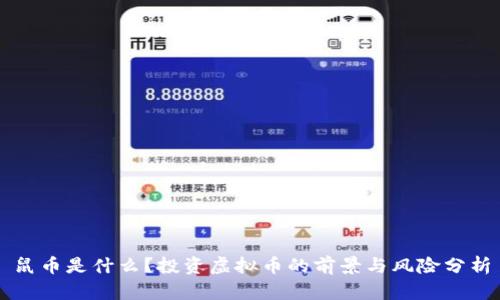 鼠币是什么？投资虚拟币的前景与风险分析