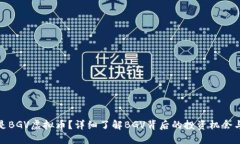 什么是BGV虚拟币？详细了