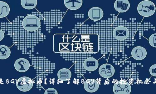 什么是BGV虚拟币？详细了解BGV背后的投资机会与风险