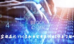 大家都在问：YBC虚拟币究