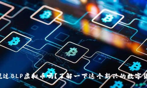 你听说过BLP虚拟币吗？了解一下这个新兴的数字货币吧！