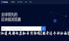 你知道成都的虚拟币传销