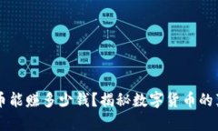 网络上虚拟币能赚多少钱