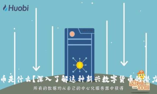 PL虚拟币是什么？深入了解这种新兴数字货币的潜力与风险