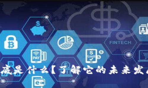 虚拟币ELS到底是什么？了解它的未来发展与投资机会