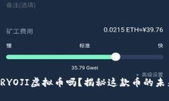 你了解RYOJI虚拟币吗？揭秘