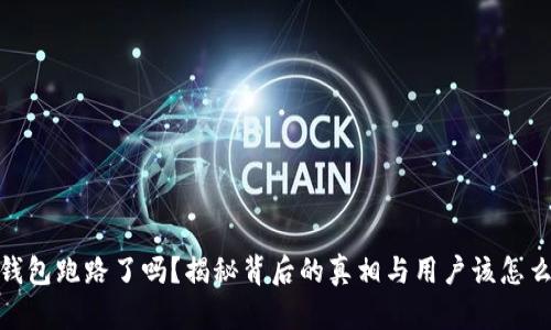 TP钱包跑路了吗？揭秘背后的真相与用户该怎么做